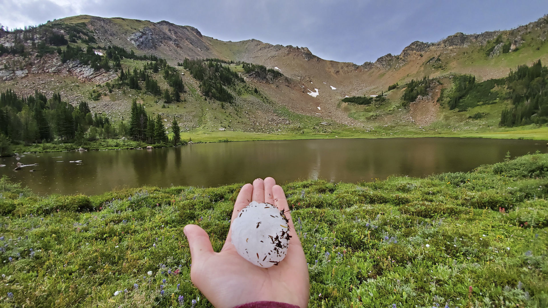 Franecki holds a piece of the hail